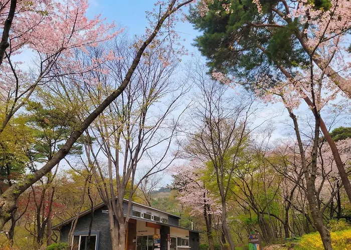 New 종로대형8인 가족 친구 최적 벚꽃축제 광화문 경복궁 청계천 빌라 서울특별시